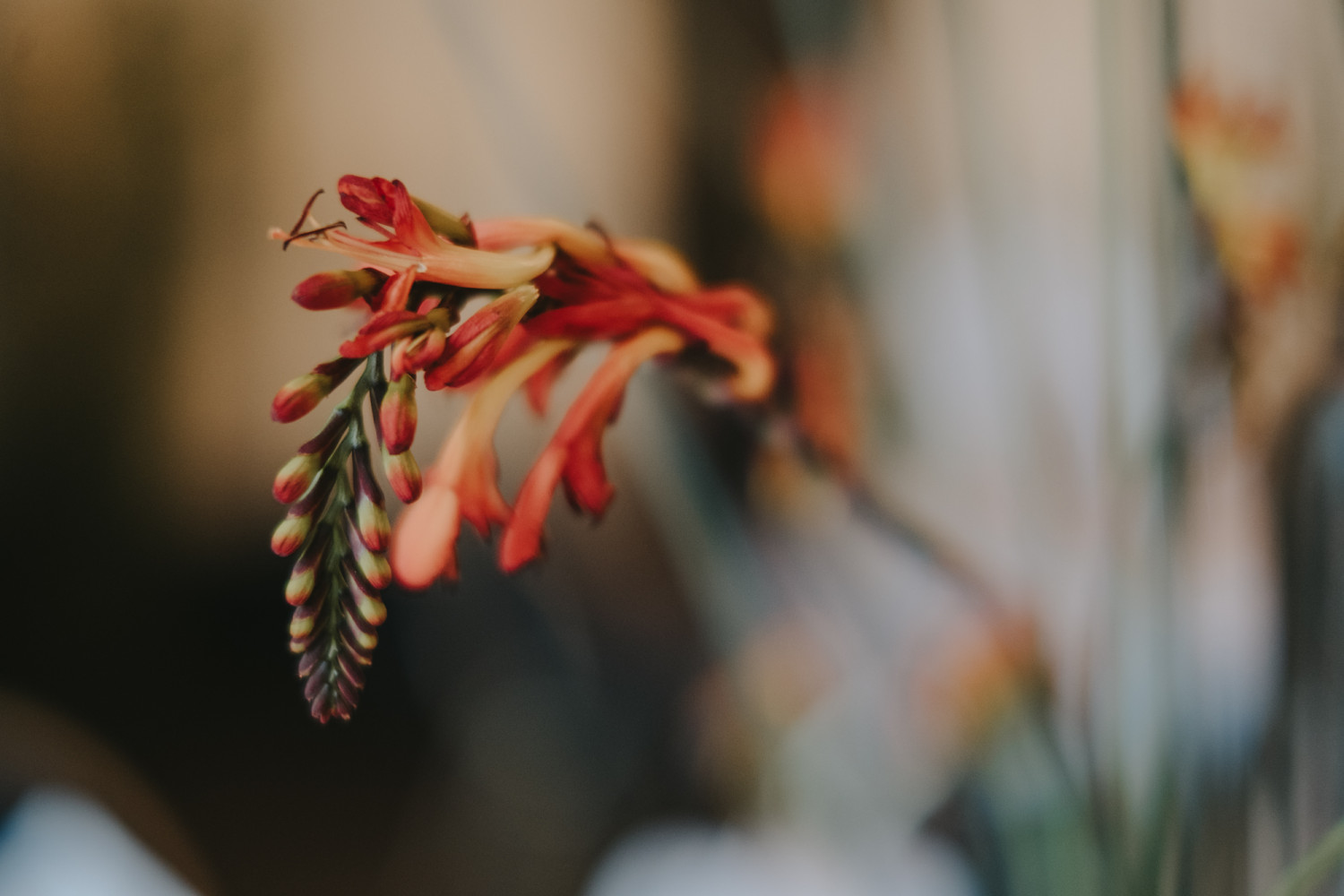 333- Hochzeit Orangerie Kassel - Anne & Nico - Stephan Presser Photography