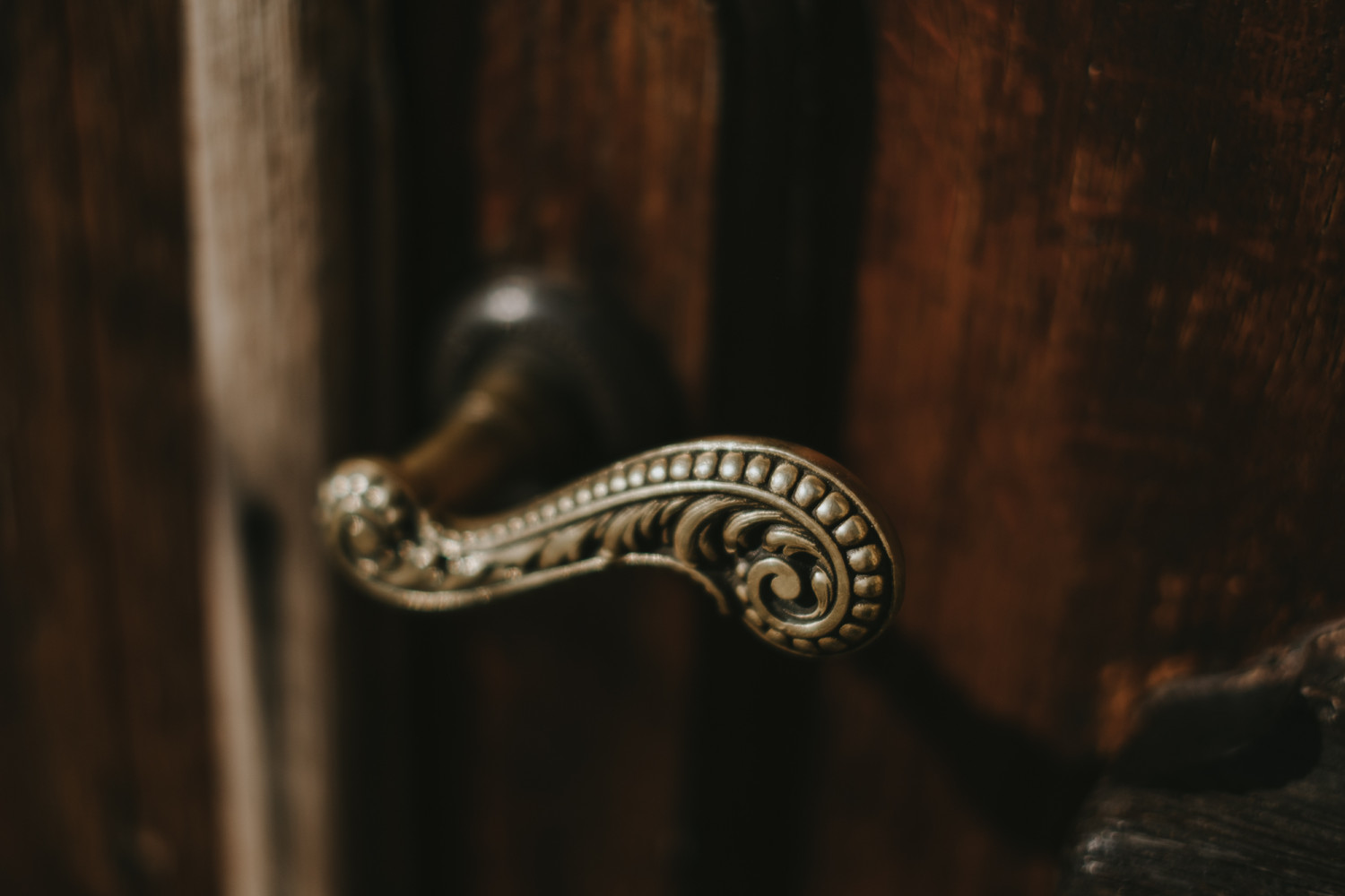 450- Hochzeit Orangerie Kassel - Anne & Nico - Stephan Presser Photography