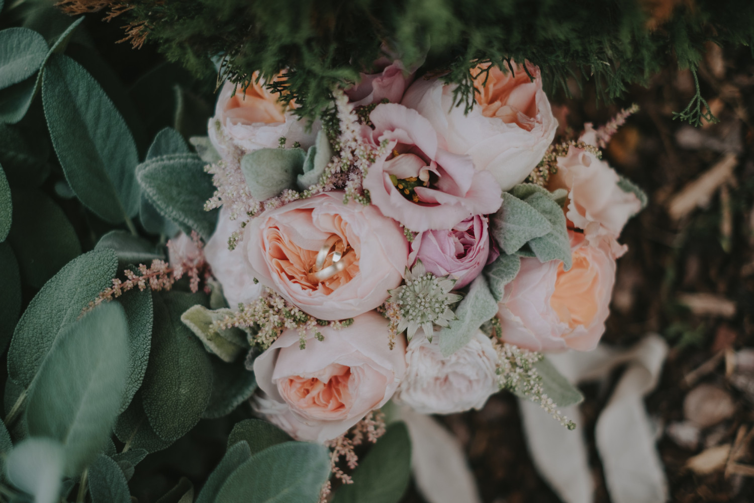 439- Monika & Chritoph - Weingut Mussler Bissersheim - Stephan Presser Photography