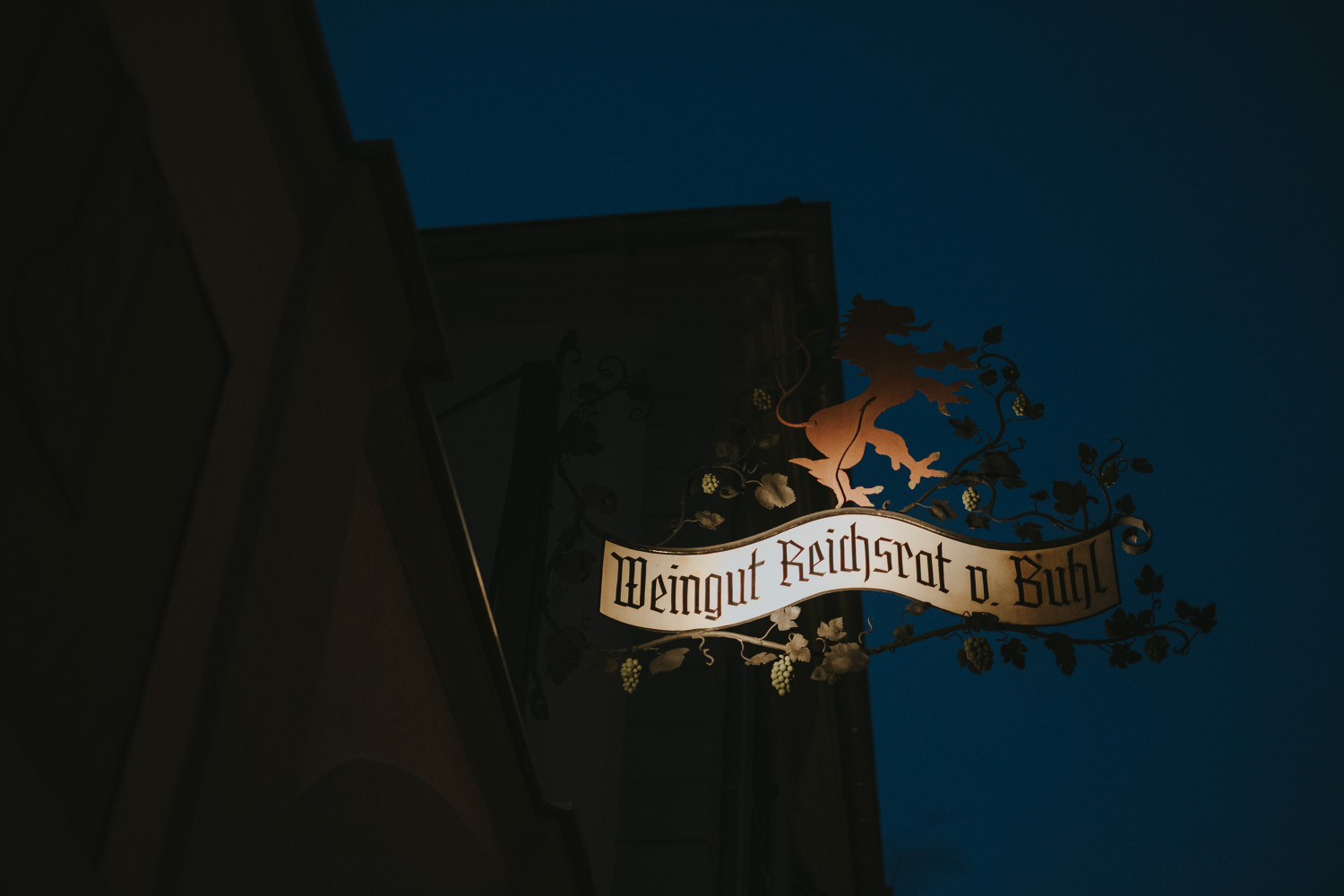 0131- Reichsrat von Buhl - Deidesheim - Freie Trauung - Stephan Presser Photography