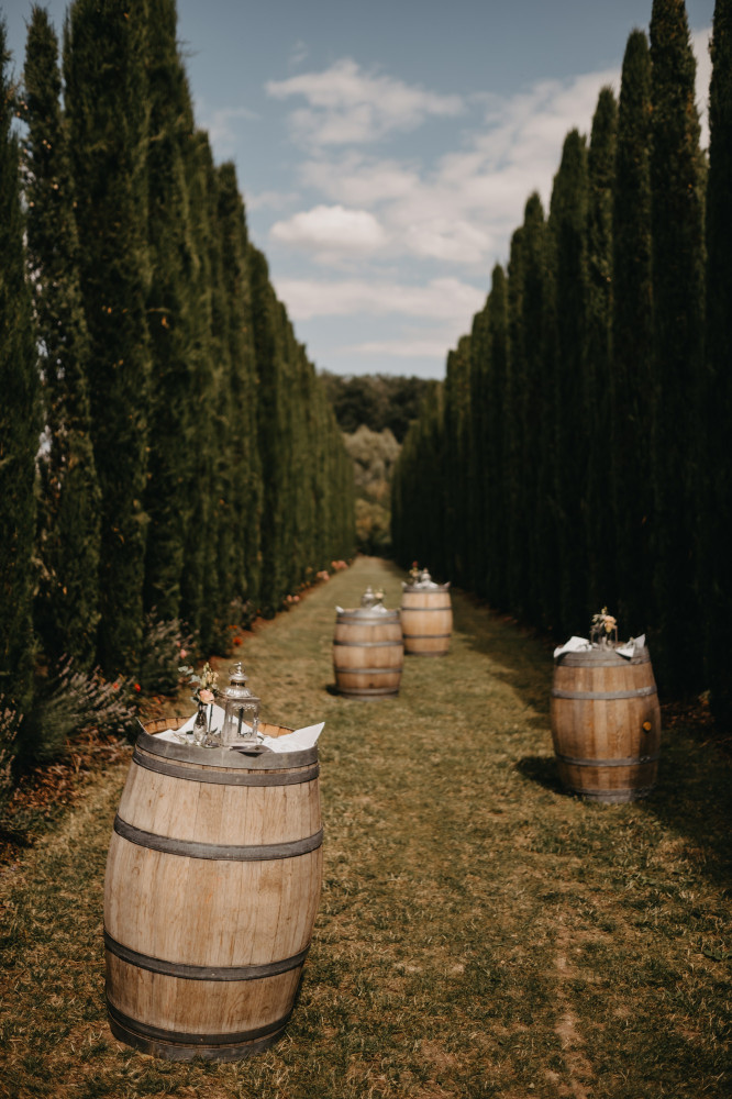 0256- Hochzeit Weingut Mussler - Bissersheim - Corinna & Patrick - Stephan Presser Photography