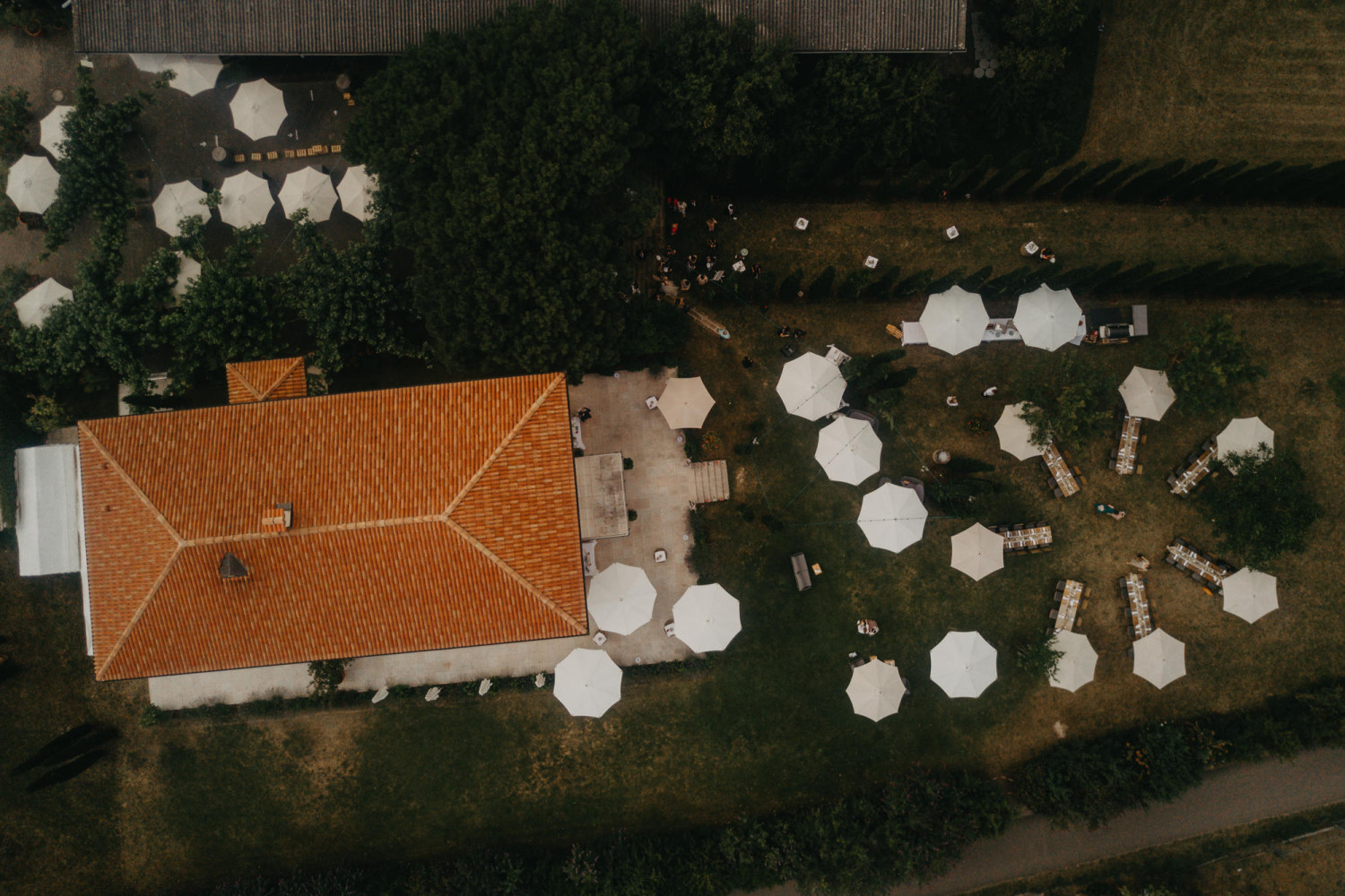 0298- Hochzeit Weingut Mussler - Bissersheim - Corinna & Patrick - Stephan Presser Photography